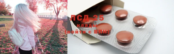 стаф Армянск