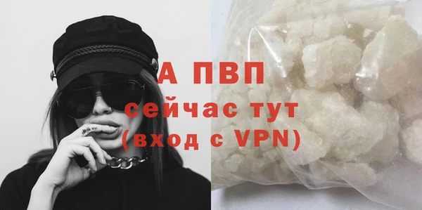 стаф Армянск