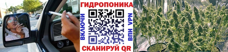 Шишки марихуана тримм  Сальск 